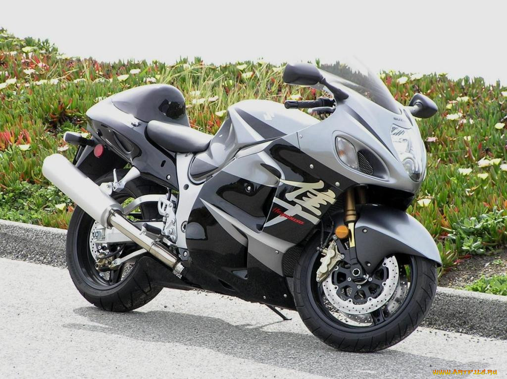 , suzuki